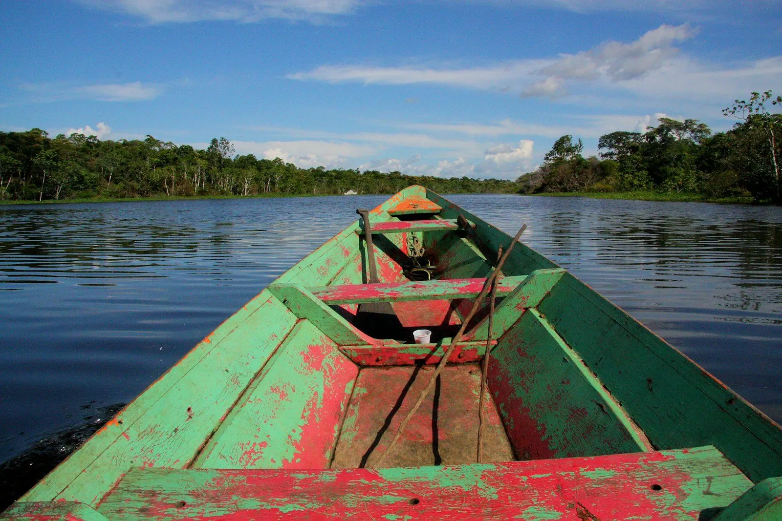 Canoa en un río de la selva